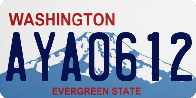 WA license plate AYA0612