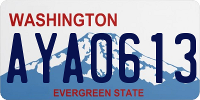 WA license plate AYA0613