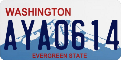 WA license plate AYA0614