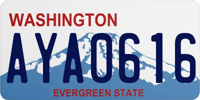 WA license plate AYA0616