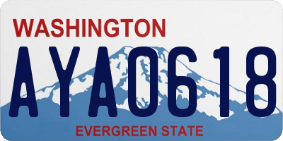 WA license plate AYA0618
