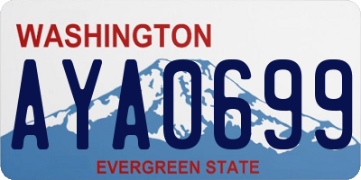 WA license plate AYA0699