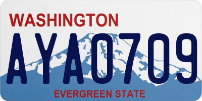 WA license plate AYA0709