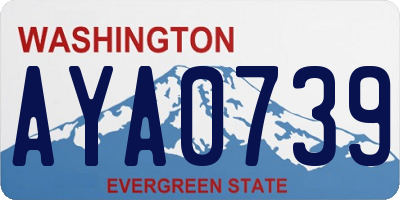 WA license plate AYA0739