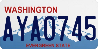 WA license plate AYA0745