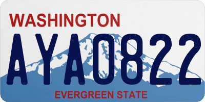 WA license plate AYA0822