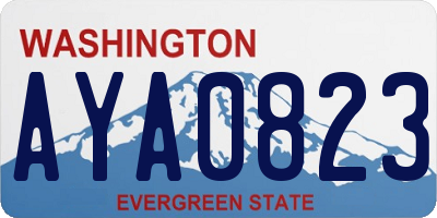 WA license plate AYA0823