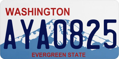 WA license plate AYA0825