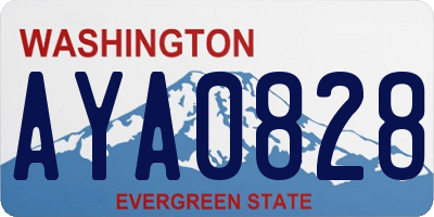 WA license plate AYA0828