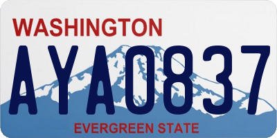 WA license plate AYA0837