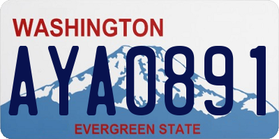 WA license plate AYA0891