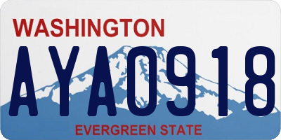 WA license plate AYA0918