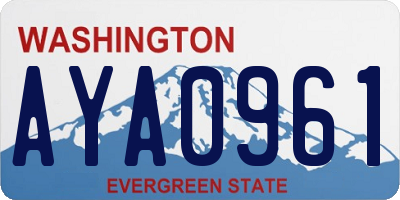 WA license plate AYA0961