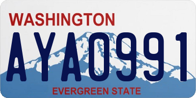 WA license plate AYA0991