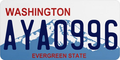 WA license plate AYA0996