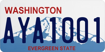 WA license plate AYA1001