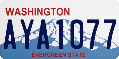 WA license plate AYA1077