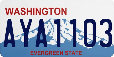 WA license plate AYA1103