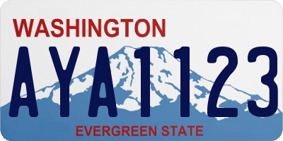 WA license plate AYA1123