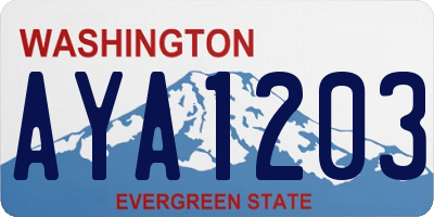 WA license plate AYA1203