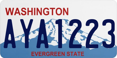 WA license plate AYA1223
