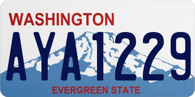 WA license plate AYA1229