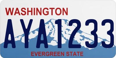 WA license plate AYA1233