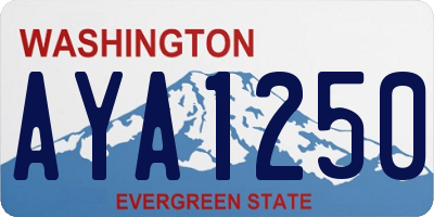 WA license plate AYA1250