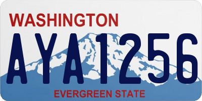WA license plate AYA1256