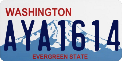 WA license plate AYA1614