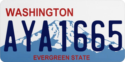 WA license plate AYA1665