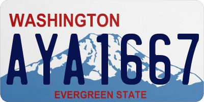 WA license plate AYA1667