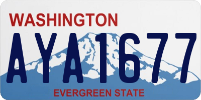 WA license plate AYA1677