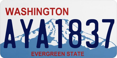 WA license plate AYA1837