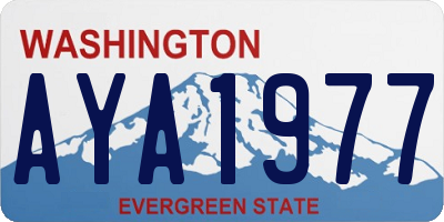 WA license plate AYA1977