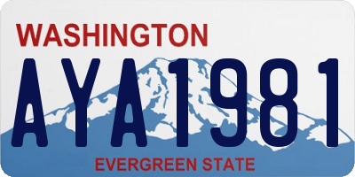 WA license plate AYA1981