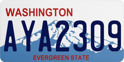 WA license plate AYA2309