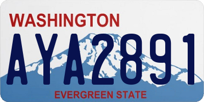 WA license plate AYA2891