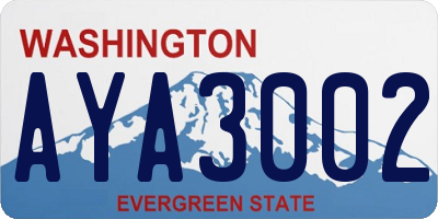 WA license plate AYA3002