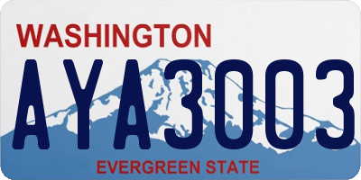 WA license plate AYA3003