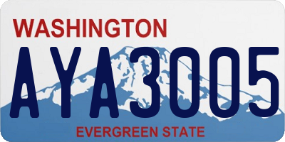 WA license plate AYA3005