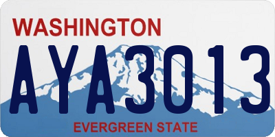 WA license plate AYA3013