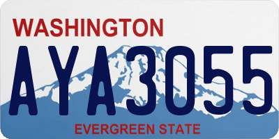 WA license plate AYA3055