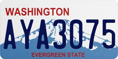 WA license plate AYA3075