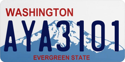 WA license plate AYA3101