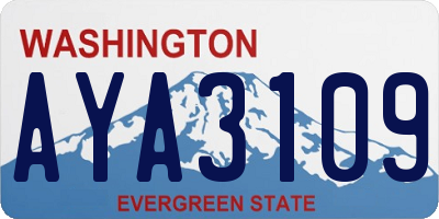 WA license plate AYA3109