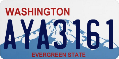 WA license plate AYA3161