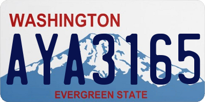 WA license plate AYA3165