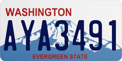 WA license plate AYA3491