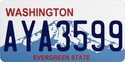 WA license plate AYA3599